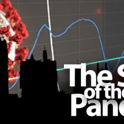 The Scale of the Pandemic
