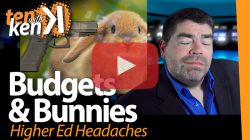 Budgets & Bunnies
