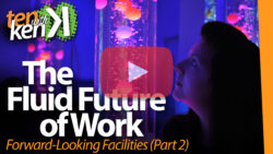 The Fluid Future of Work