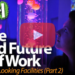 The Fluid Future of Work